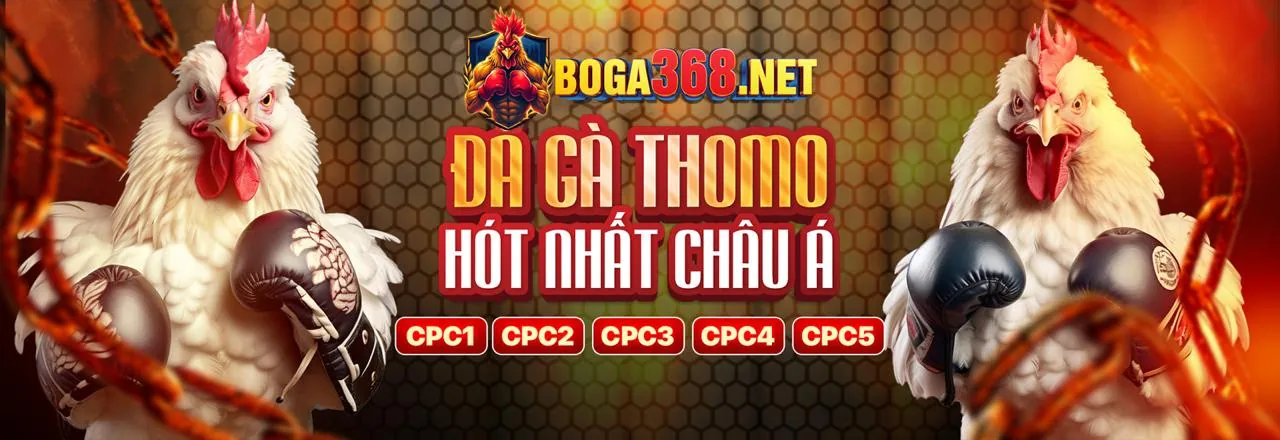 Hình ảnh chính blog KP88 Link Vào